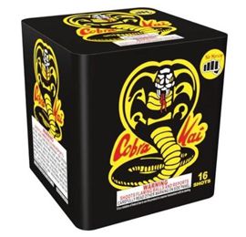 Cobra Kai