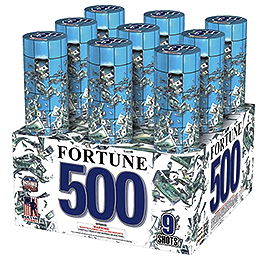 Fortune 500